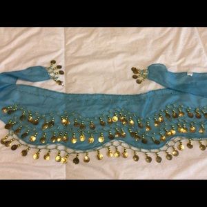 Chiffon with Dangling Gold Coins.